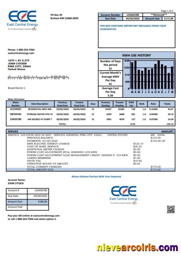 USA Minnesota East Central Energy utility bill